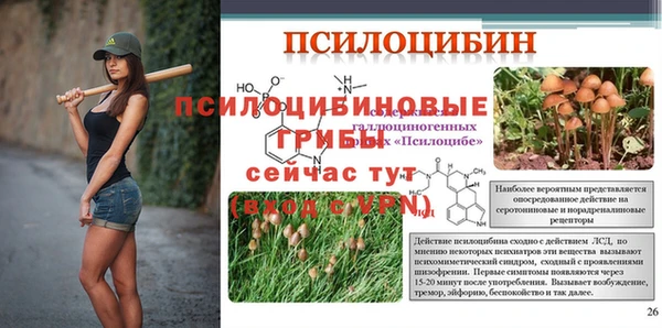 mix Баксан